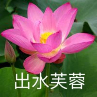 剑踪情缘华为版下载